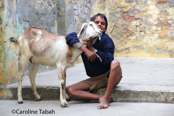 cr_carolinetabah_garcon-et-chevre-1