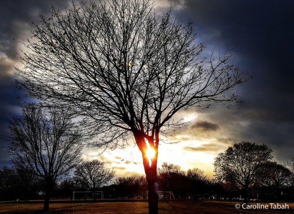 cr_CarolineTabah_The Heart